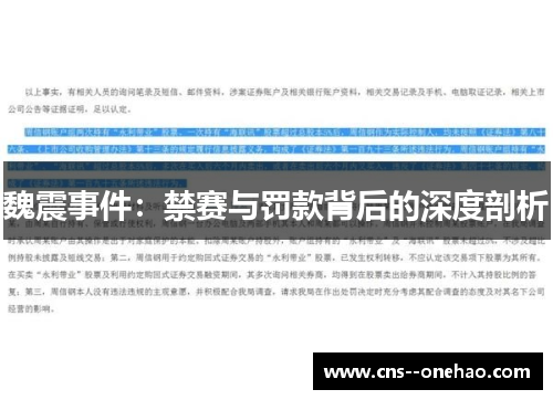 魏震事件：禁赛与罚款背后的深度剖析